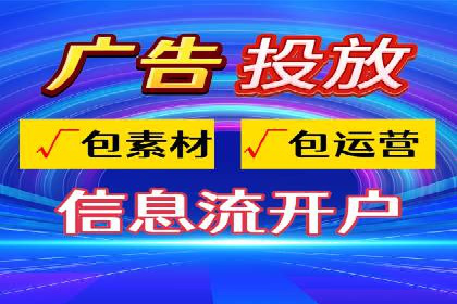谷歌竞价广告与SEO结合的营销案例解析