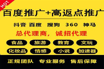 某电商平台SEM竞价广告的转化率提升案例